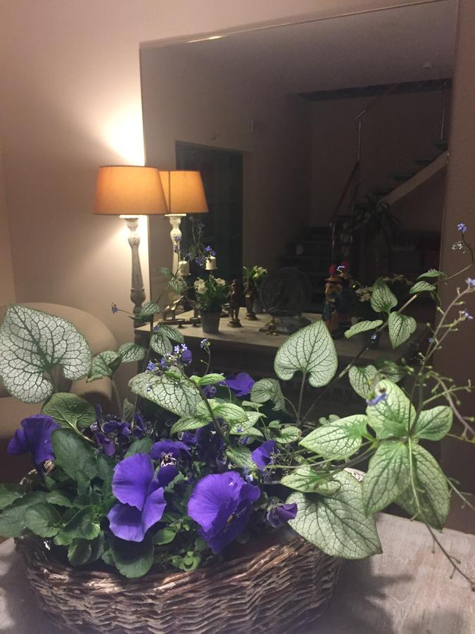 Panorama Bh Hotell Siedlce Eksteriør bilde